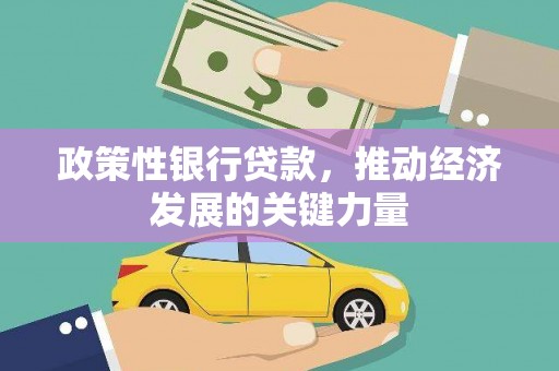 石狮政策性银行贷款，推动经济发展的关键力量
