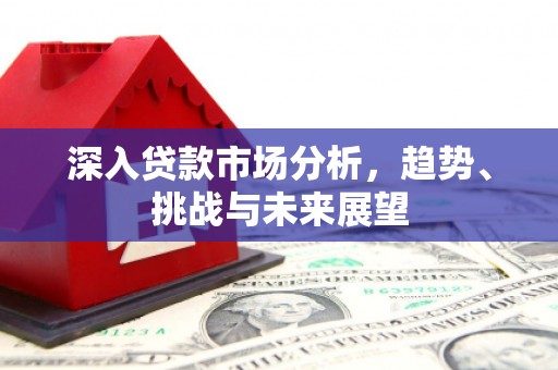 石狮深入贷款市场分析，趋势、挑战与未来展望