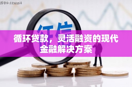石狮循环贷款，灵活融资的现代金融解决方案
