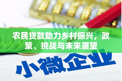 石狮农民贷款助力乡村振兴，政策、挑战与未来展望