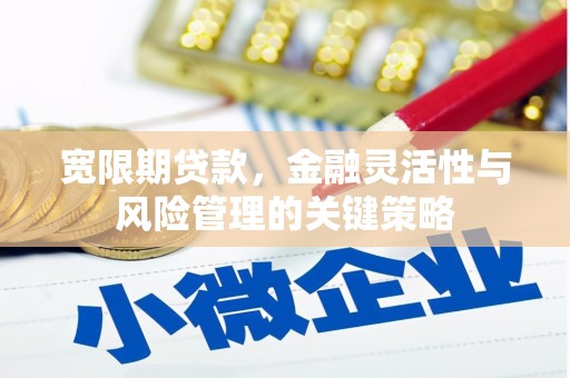 石狮宽限期贷款，金融灵活性与风险管理的关键策略