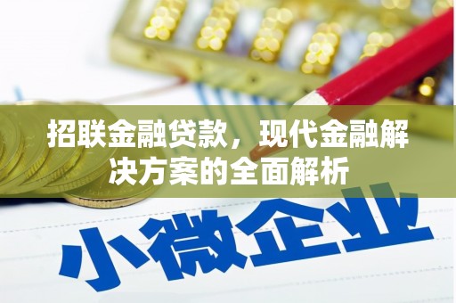 石狮招联金融贷款，现代金融解决方案的全面解析