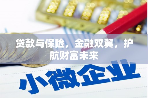 石狮贷款与保险，金融双翼，护航财富未来