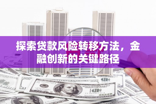 石狮探索贷款风险转移方法，金融创新的关键路径
