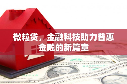 石狮微粒贷，金融科技助力普惠金融的新篇章