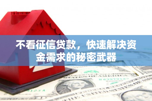 石狮不看征信贷款，快速解决资金需求的秘密武器