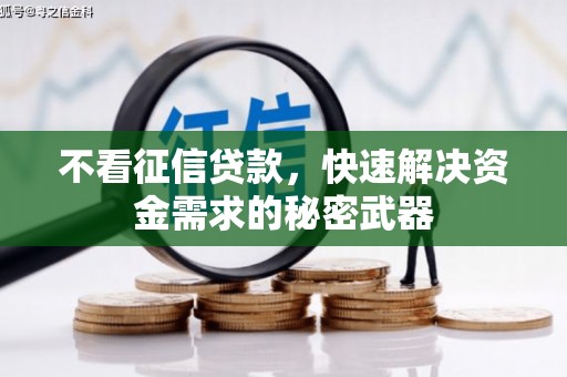 石狮不看征信贷款，快速解决资金需求的秘密武器