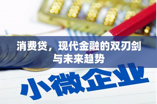 石狮消费贷，现代金融的双刃剑与未来趋势