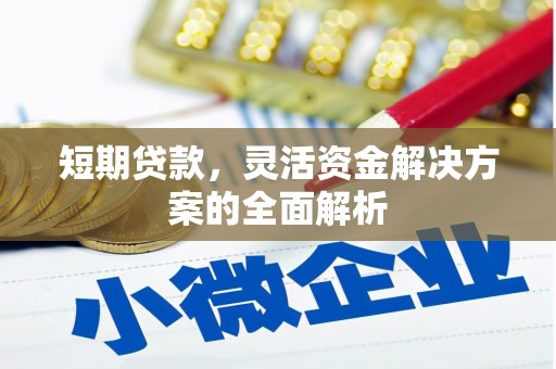 石狮短期贷款，灵活资金解决方案的全面解析