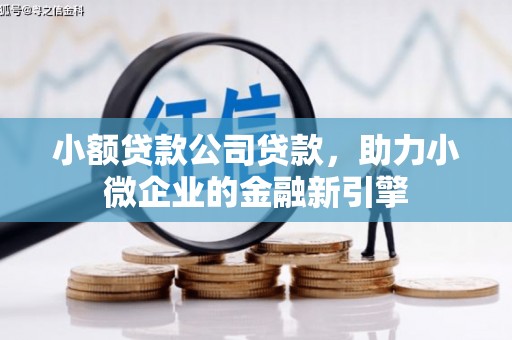 石狮小额贷款公司贷款，助力小微企业的金融新引擎