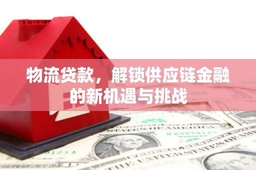 石狮物流贷款，解锁供应链金融的新机遇与挑战