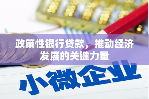 石狮政策性银行贷款，推动经济发展的关键力量