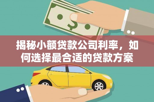 石狮揭秘小额贷款公司利率，如何选择最合适的贷款方案