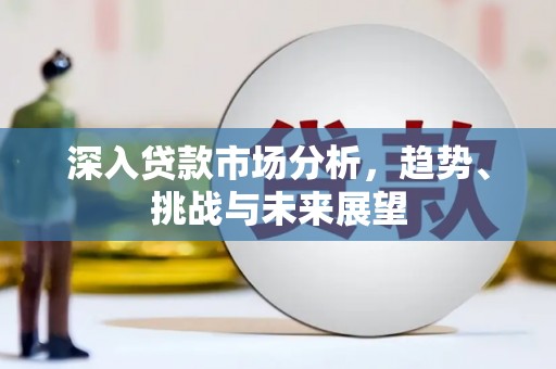 石狮深入贷款市场分析，趋势、挑战与未来展望