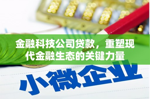 石狮金融科技公司贷款，重塑现代金融生态的关键力量