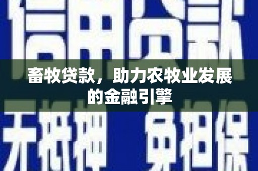 石狮畜牧贷款，助力农牧业发展的金融引擎
