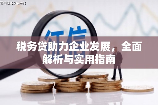 石狮税务贷助力企业发展，全面解析与实用指南
