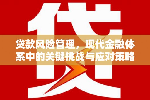 石狮贷款风险管理，现代金融体系中的关键挑战与应对策略