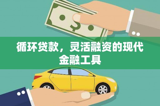 石狮循环贷款，灵活融资的现代金融工具