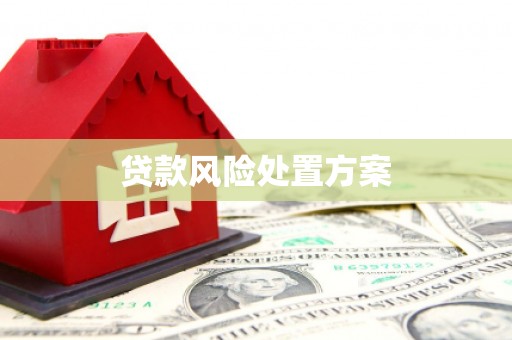 石狮贷款风险处置方案