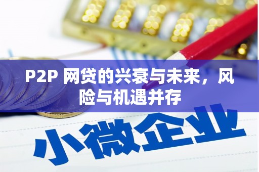 石狮P2P 网贷的兴衰与未来，风险与机遇并存