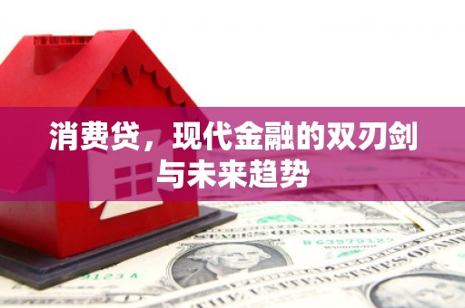 石狮消费贷，现代金融的双刃剑与未来趋势